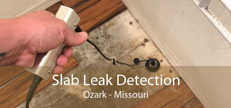 Slab Leak Detection Ozark - Missouri