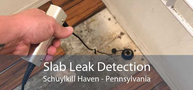 Slab Leak Detection Schuylkill Haven - Pennsylvania