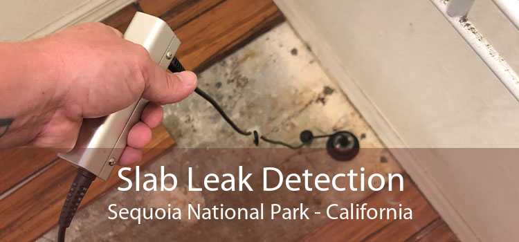 Slab Leak Detection Sequoia National Park - California