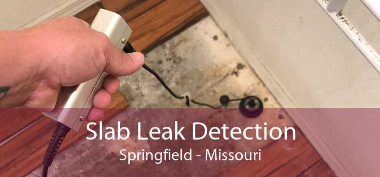 Slab Leak Detection Springfield - Missouri