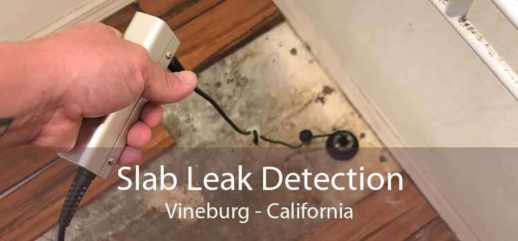 Slab Leak Detection Vineburg - California