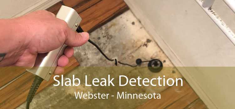 Slab Leak Detection Webster - Minnesota