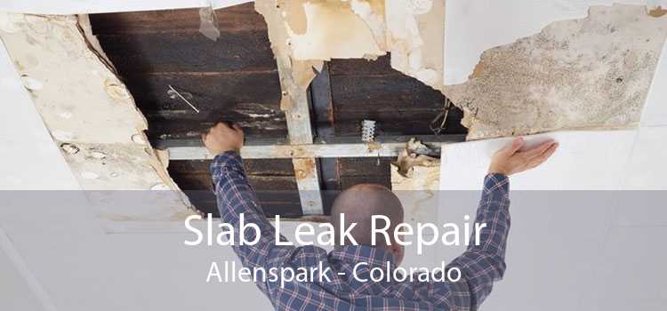 Slab Leak Repair Allenspark - Colorado