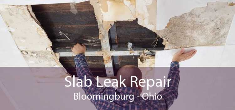 Slab Leak Repair Bloomingburg - Ohio