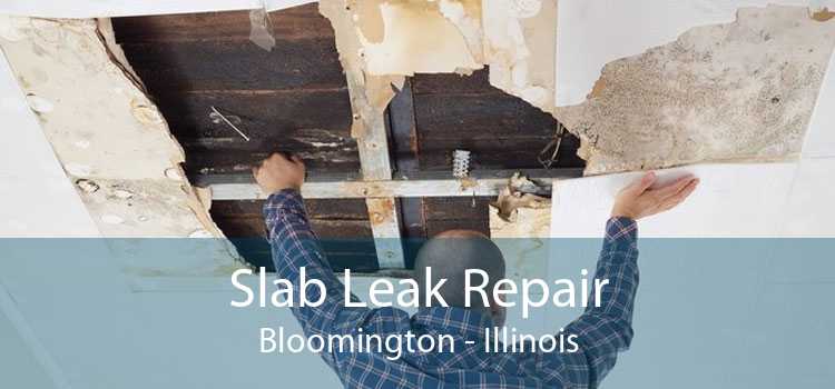 Slab Leak Repair Bloomington - Illinois