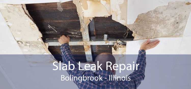 Slab Leak Repair Bolingbrook - Illinois
