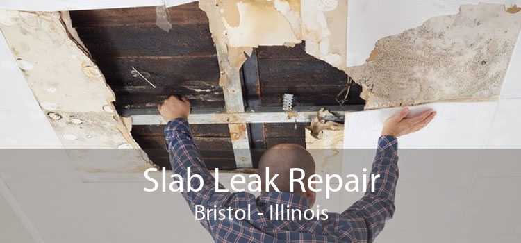 Slab Leak Repair Bristol - Illinois