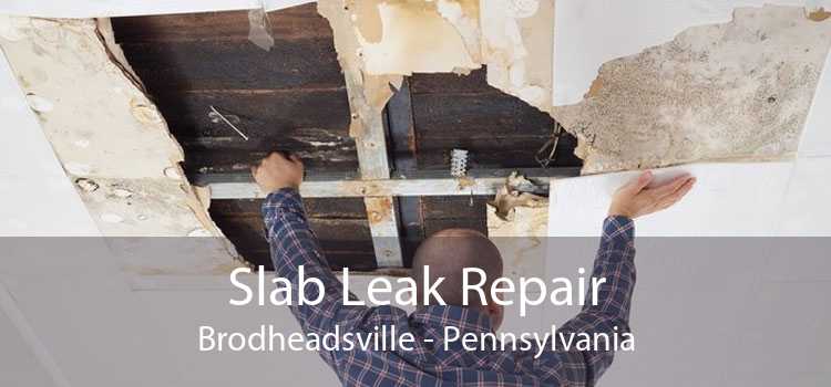 Slab Leak Repair Brodheadsville - Pennsylvania