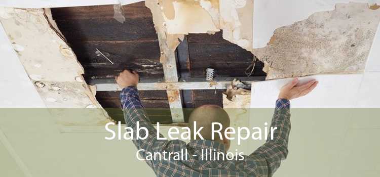 Slab Leak Repair Cantrall - Illinois