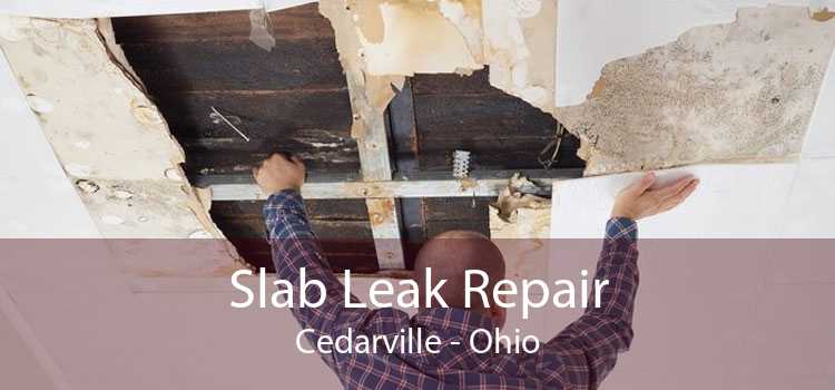 Slab Leak Repair Cedarville - Ohio