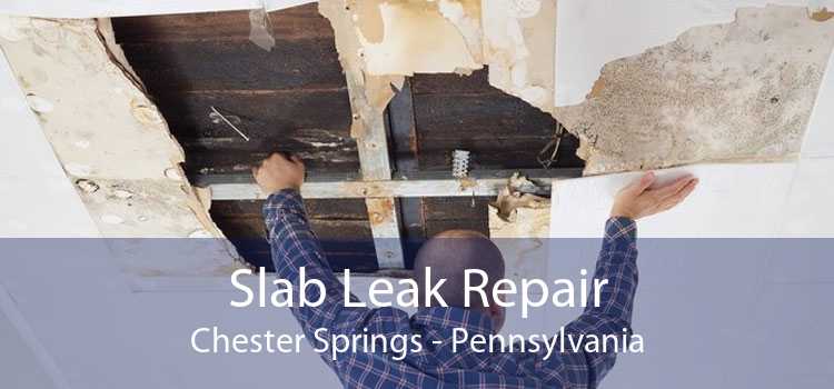 Slab Leak Repair Chester Springs - Pennsylvania
