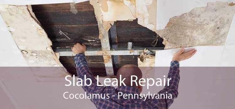 Slab Leak Repair Cocolamus - Pennsylvania