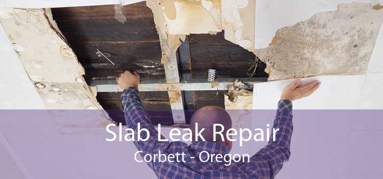 Slab Leak Repair Corbett - Oregon