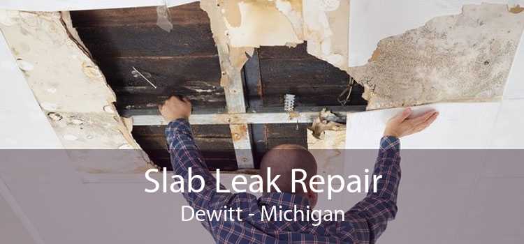 Slab Leak Repair Dewitt - Michigan
