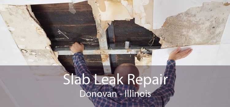 Slab Leak Repair Donovan - Illinois