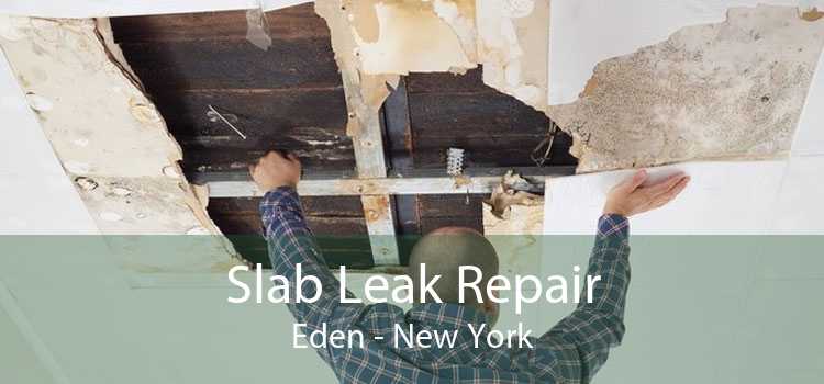 Slab Leak Repair Eden - New York