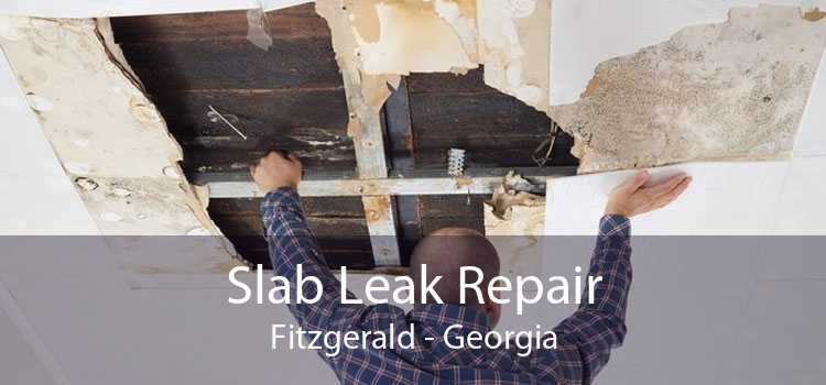 Slab Leak Repair Fitzgerald - Georgia