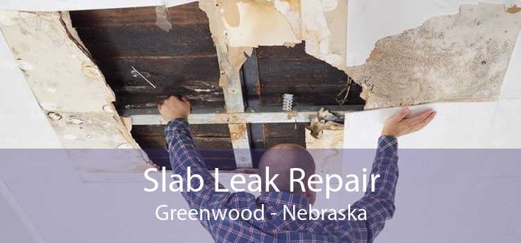 Slab Leak Repair Greenwood - Nebraska