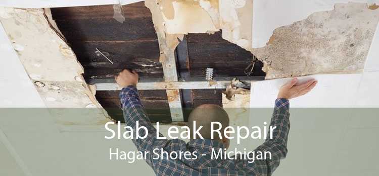Slab Leak Repair Hagar Shores - Michigan