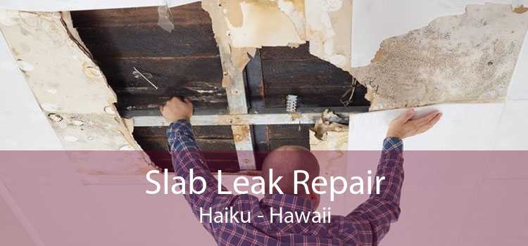 Slab Leak Repair Haiku - Hawaii