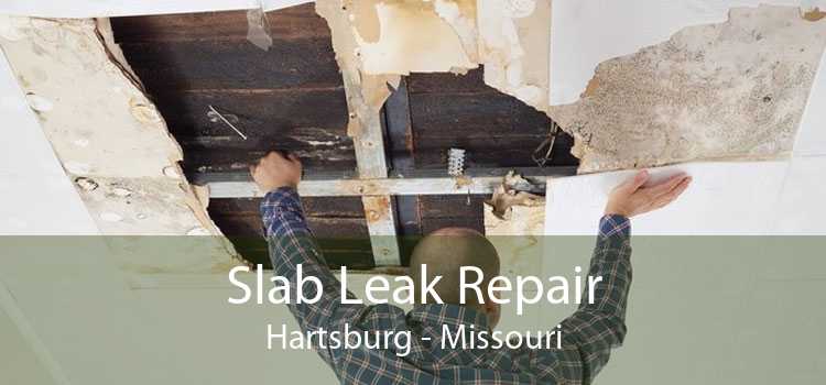 Slab Leak Repair Hartsburg - Missouri