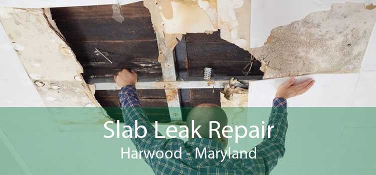 Slab Leak Repair Harwood - Maryland