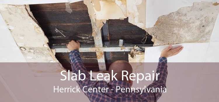 Slab Leak Repair Herrick Center - Pennsylvania