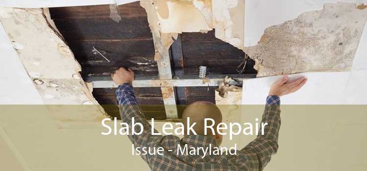 Slab Leak Repair Issue - Maryland