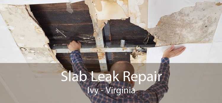 Slab Leak Repair Ivy - Virginia
