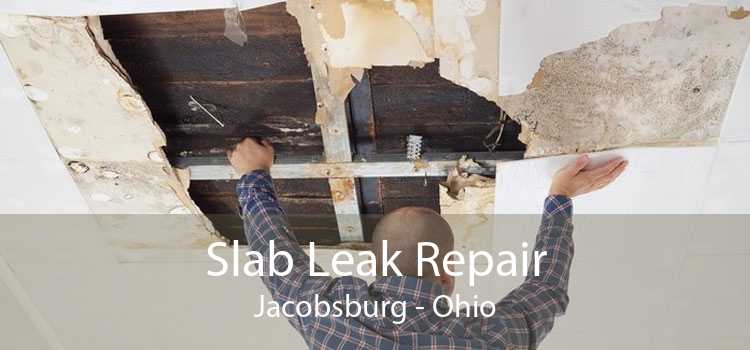 Slab Leak Repair Jacobsburg - Ohio