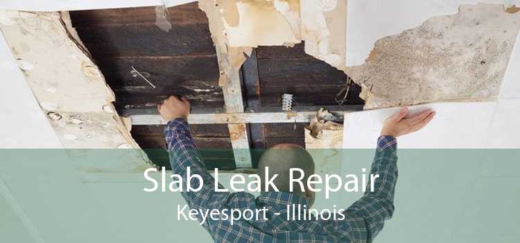 Slab Leak Repair Keyesport - Illinois