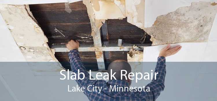 Slab Leak Repair Lake City - Minnesota