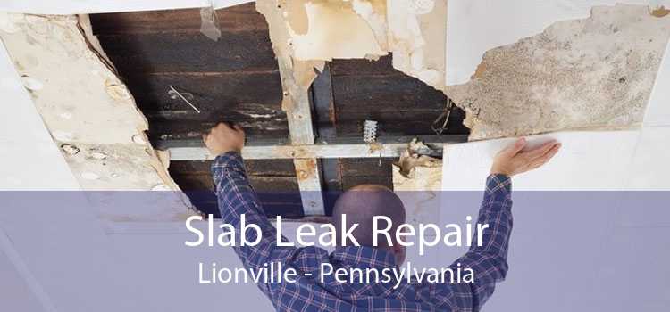 Slab Leak Repair Lionville - Pennsylvania