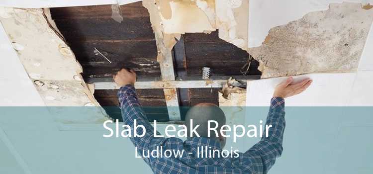 Slab Leak Repair Ludlow - Illinois