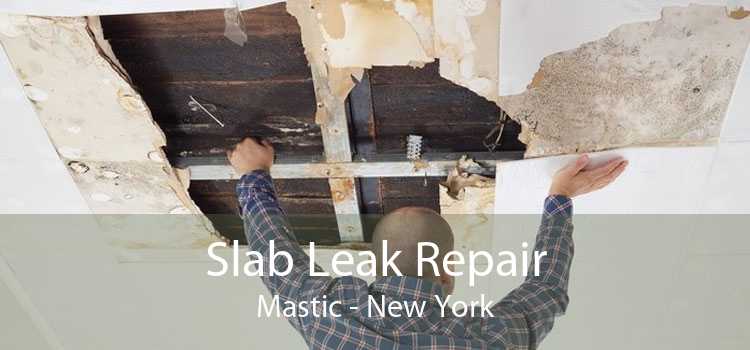 Slab Leak Repair Mastic - New York
