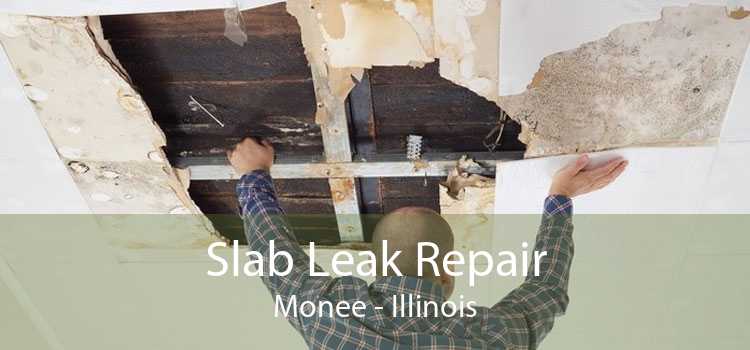 Slab Leak Repair Monee - Illinois