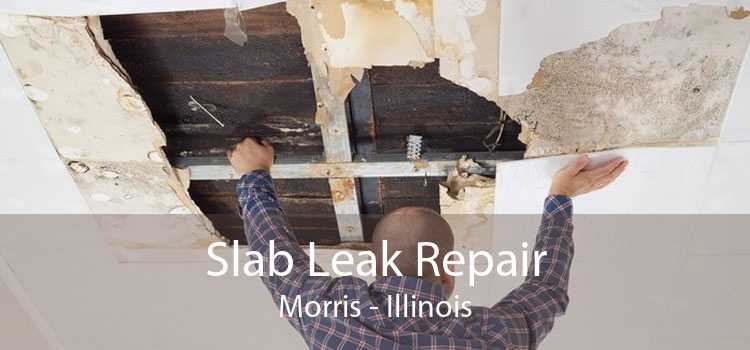 Slab Leak Repair Morris - Illinois