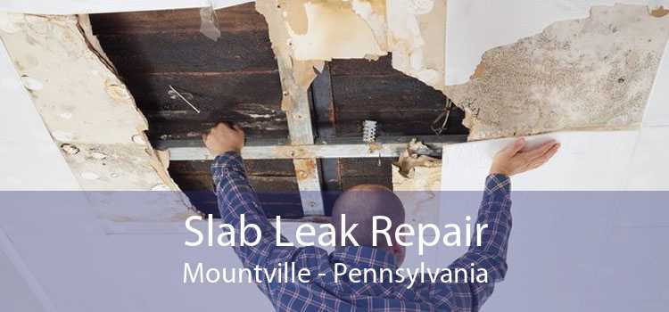 Slab Leak Repair Mountville - Pennsylvania