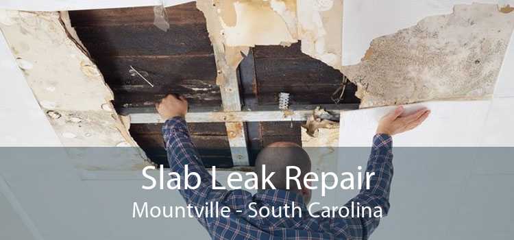 Slab Leak Repair Mountville - South Carolina