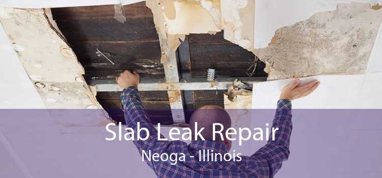 Slab Leak Repair Neoga - Illinois