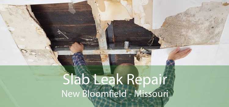 Slab Leak Repair New Bloomfield - Missouri