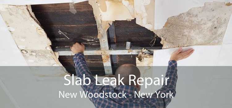 Slab Leak Repair New Woodstock - New York