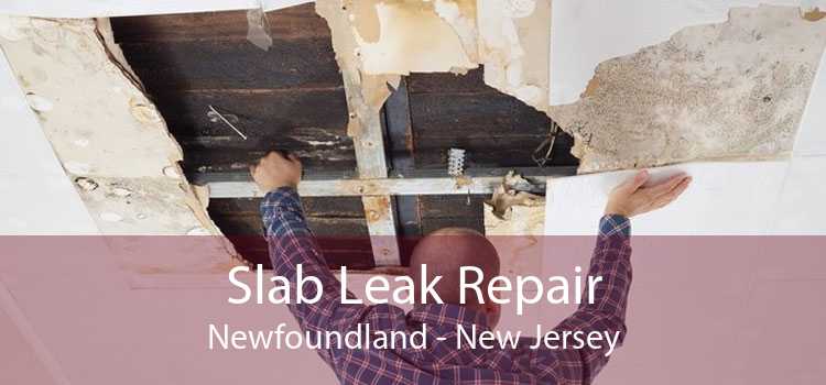 Slab Leak Repair Newfoundland - New Jersey