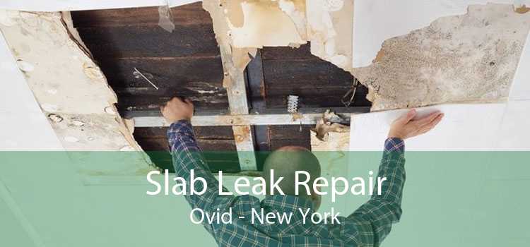 Slab Leak Repair Ovid - New York