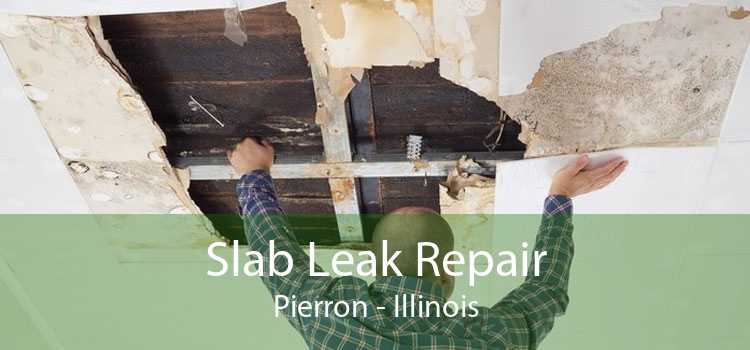 Slab Leak Repair Pierron - Illinois