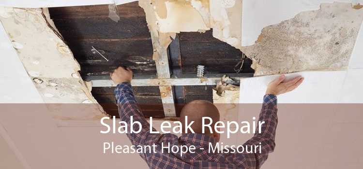 Slab Leak Repair Pleasant Hope - Missouri