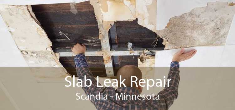 Slab Leak Repair Scandia - Minnesota