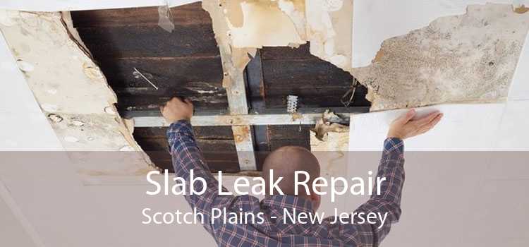 Slab Leak Repair Scotch Plains - New Jersey