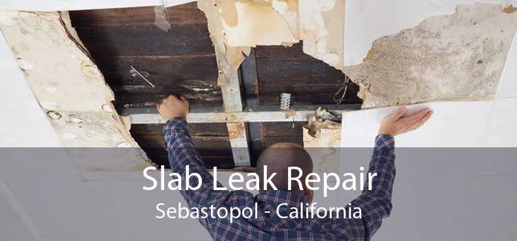 Slab Leak Repair Sebastopol - California