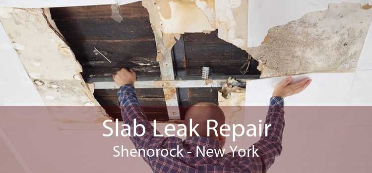 Slab Leak Repair Shenorock - New York
